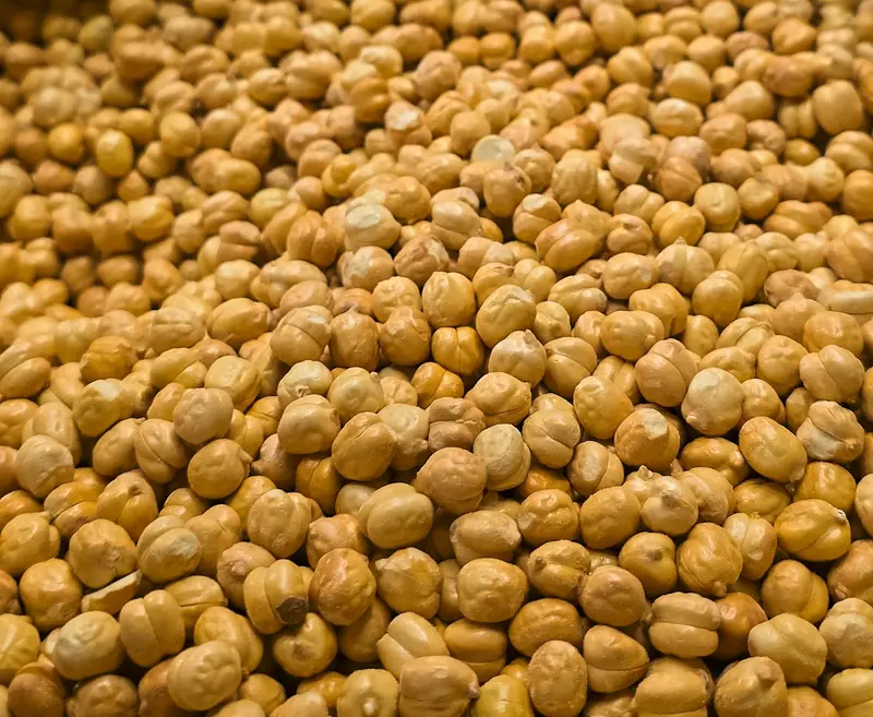 Close-up of dried golden chickpeas