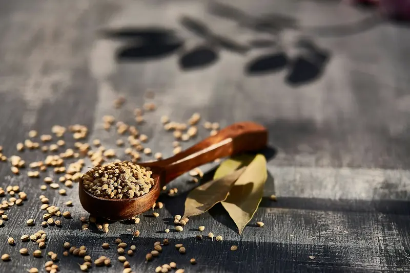 Wooden spoon of coriander seeds on a dark surface