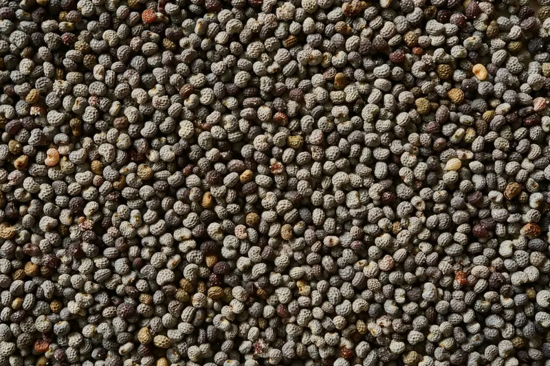 Close-up of dark grey fertilizer granules
