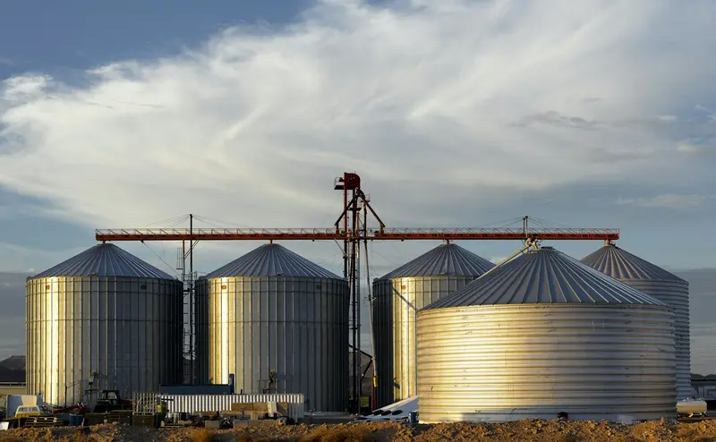Steel grain silos under a wide sky